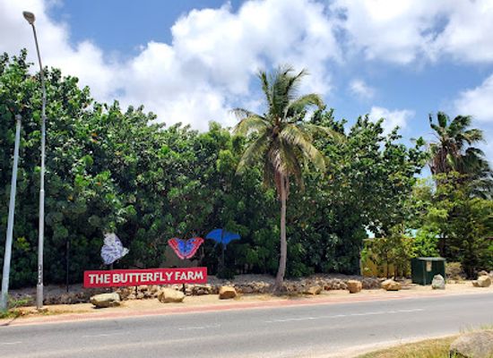 aruba/noord/landmark/butterfly-farm