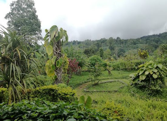 sao-tome-and-principe/neves/landmark/jardim-botanico-do-bom-sucesso