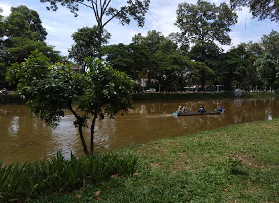 cambodia/siem-reap/landmark/crane