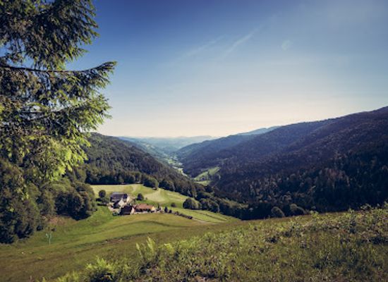 france/vosges-mountains/landmark/vosges