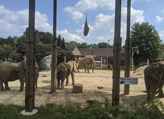 ohio/cleveland/landmark/cleveland-metroparks-zoo