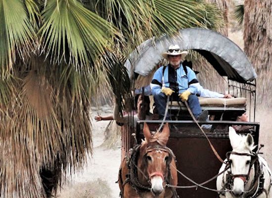 california/mojave-desert/landmark/covered-wagon-tours
