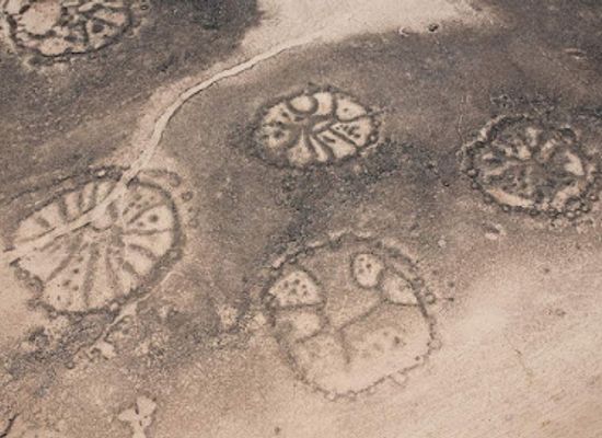jordan/northern-jordan-valley/landmark/jordan-wheel