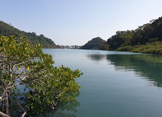 thailand/trat/landmark/mangrove-walk
