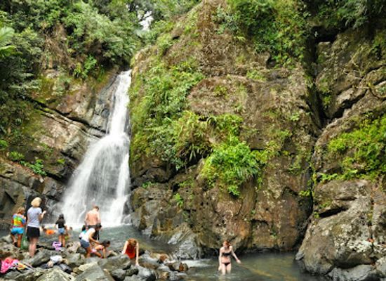puerto-rico/big-island/landmark/el-yunque-national-forest