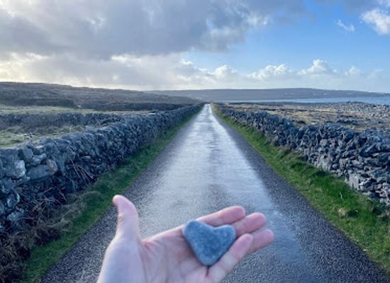 ireland/sligo/landmark/bridgefoot-house