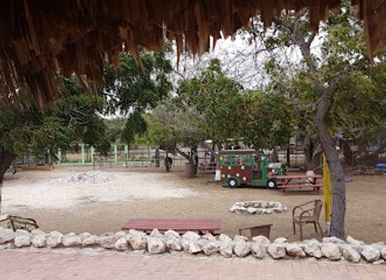 curacao/st-joris-bay/landmark/curacao-ostrich-farm