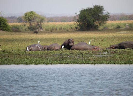 malawi/liwonde-national-park/landmark/liwonde-national-park-main-entrance-gate