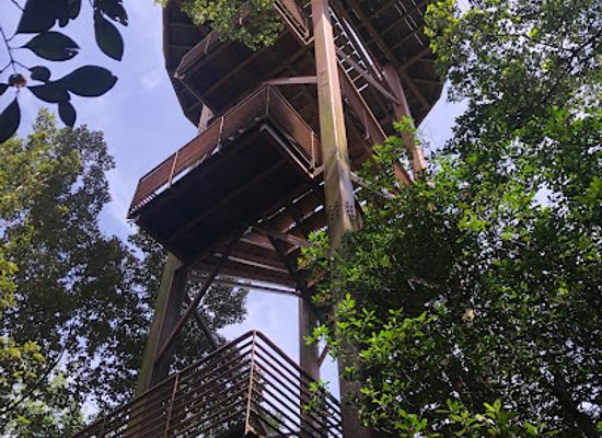 singapore/pasir-ris/landmark/jejawi-tower