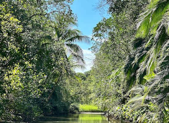 costa-rica/los-santos-region/landmark/nacarcosta-wildlife-adventure