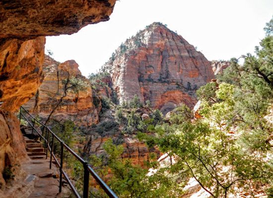 utah/zion-national-park/landmark/pine-creek-gorge-slot-canyon