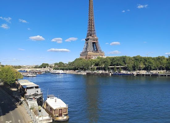 france/ile-de-france/landmark/ile-aux-cygnes