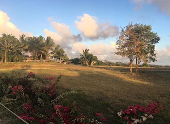 barbados/east-coast/landmark/fiddlewood-park