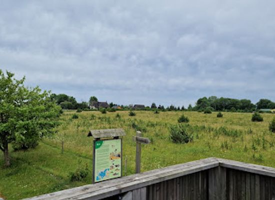 estonia/hiiumaa/landmark/orjaku-opperada
