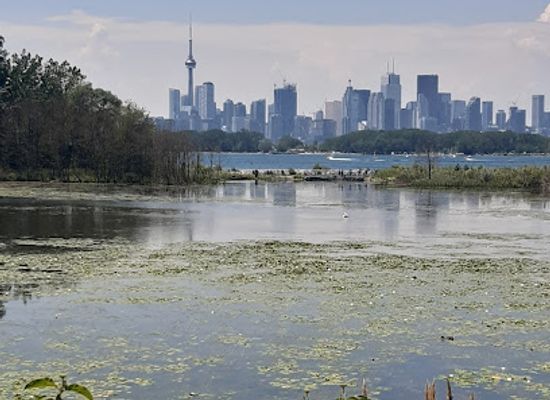 canada/greater-toronto-area/landmark/tommy-thompson-light-beacon-station