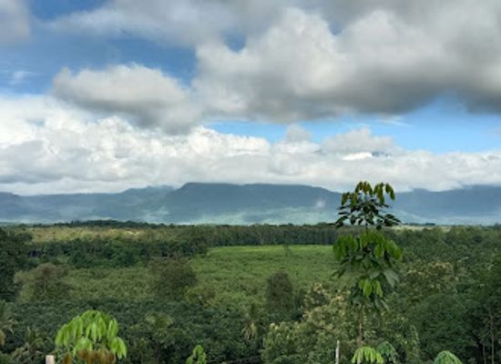 india/kerala/landmark/oolamukk-high-range
