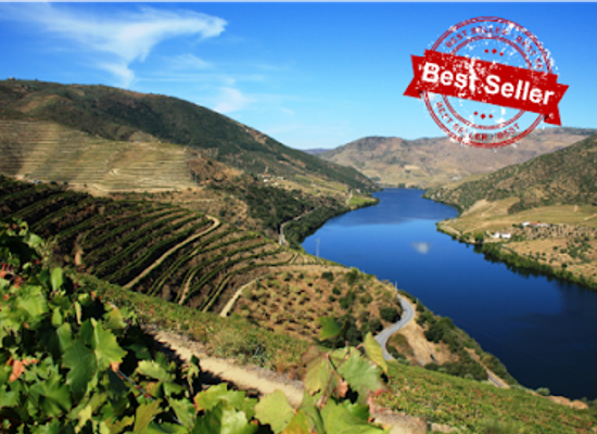 portugal/douro/landmark/efun-tours-porto-douro-tours