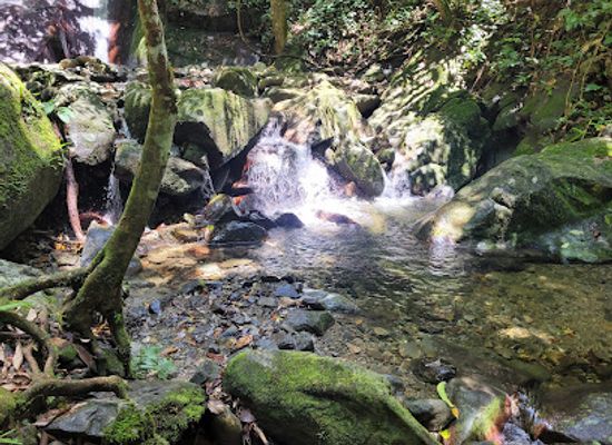 malaysia/kinabalu-national-park/landmark/poring-hot-spring