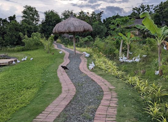 philippines/bohol/panglao/landmark/south-farm-panglao-bohol