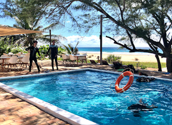 mozambique/tofo-beach/landmark/liquid-dive-adventures