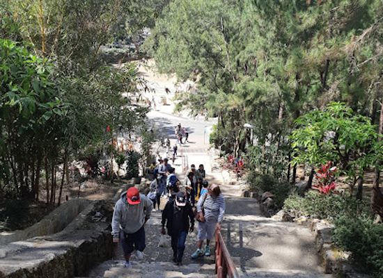 philippines/baguio/wright-park/landmark/wright-park-high-stairways