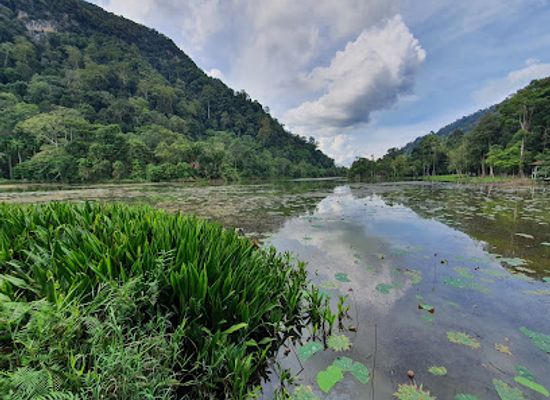 thailand/satun/landmark/thale-ban-national-park