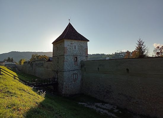romania/transylvania/landmark/lumberjack-s-tower