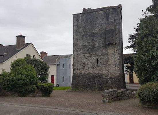 ireland/county-kilkenny/landmark/maudlin-castle