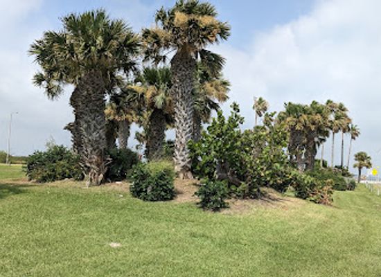 texas/corpus-christi/padre-island/landmark/south-padre-island-texas