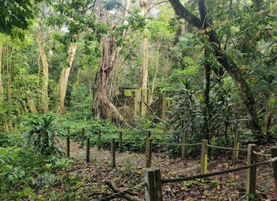 singapore/ang-mo-kio/landmark/macaque-trail-and-langur-trail