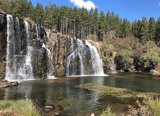 south-africa/lowveld/landmark/forest-falls