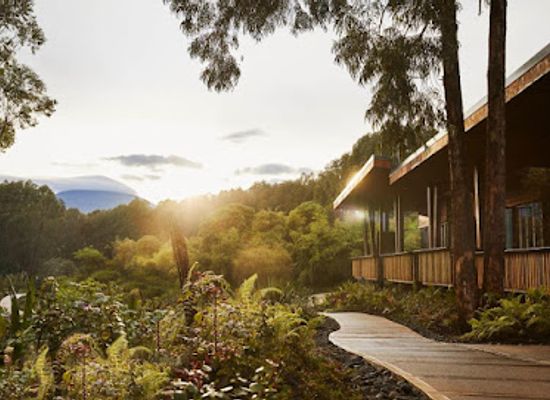 rwanda/nyungwe-forest-national-park/landmark/one-only-gorilla-s-nest