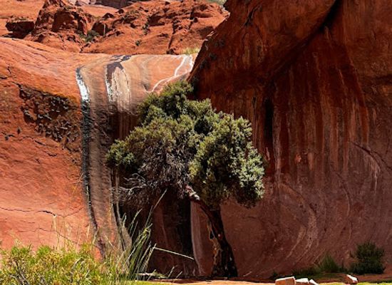 argentina/quebrada-de-humahuaca/landmark/inca-cueva