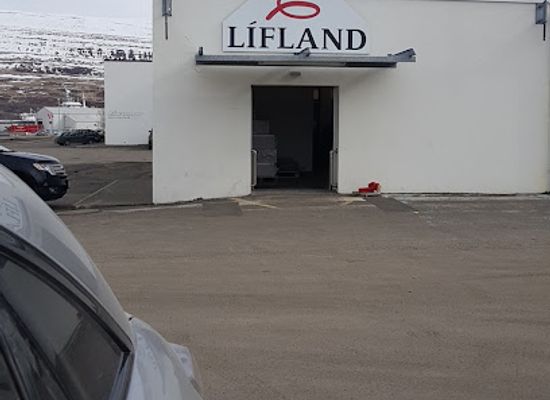 iceland/akureyri-area/landmark/lifland-akureyri