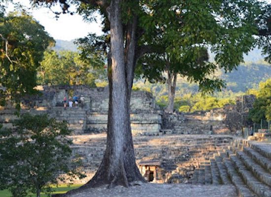 honduras/copan-ruinas/landmark/cafe-via-via