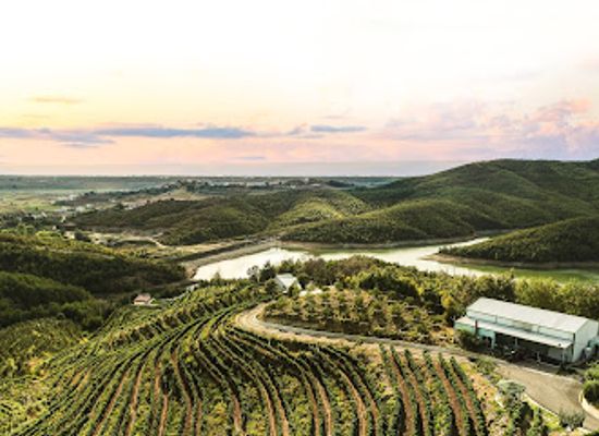 albania/dukagjin/landmark/duka-winery-and-vineyard