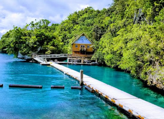 micronesia/koror/landmark/dolphins-pacific
