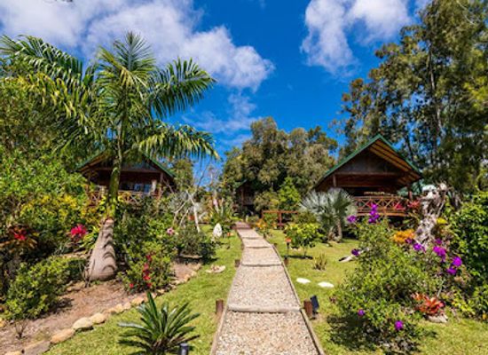 new-caledonia/farino/landmark/banian-et-kaori