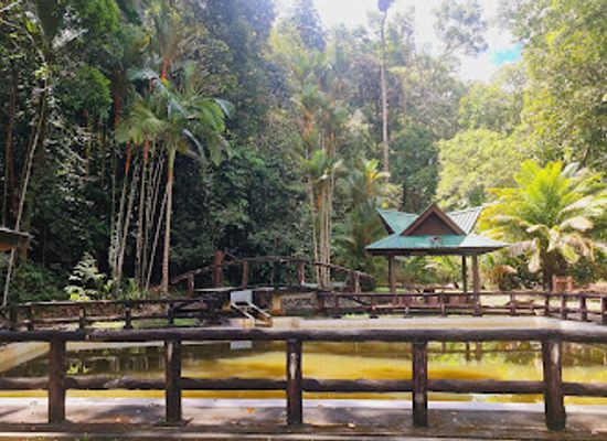 brunei/labu-forest-reserve/landmark/forestry-museum-brunei-sungai-liang