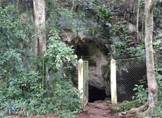 guatemala/peten/landmark/parque-regional-municipal-actun-kan