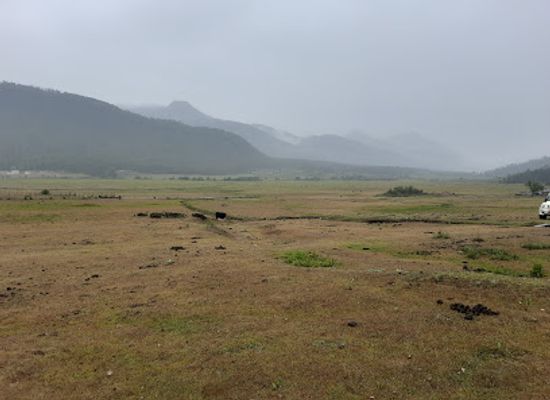 bhutan/punakha-wangdue-valley/landmark/khotokha-ramsar