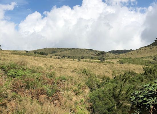 sri-lanka/horton-plains-national-park/landmark/horton-plains-visitor-information-center