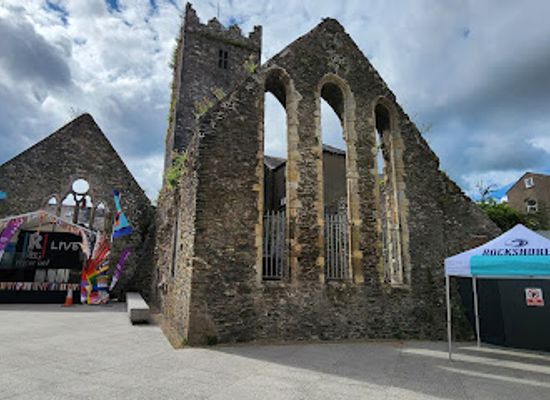 ireland/county-waterford/landmark/the-viking-triangle