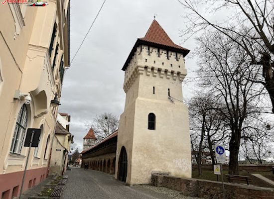 romania/sibiu-area/landmark/turnul-dulgherilor