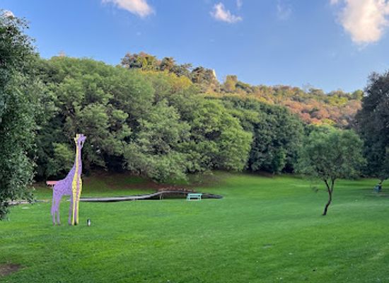south-africa/highveld/landmark/the-wilds-nature-reserve