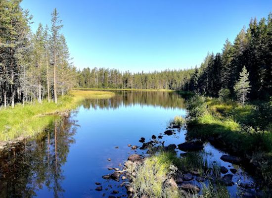 finland/hossa-national-park/landmark/varikallio-rock-paintings