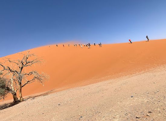 namibia/sossusvlei/landmark/dune-45-sossusvlei