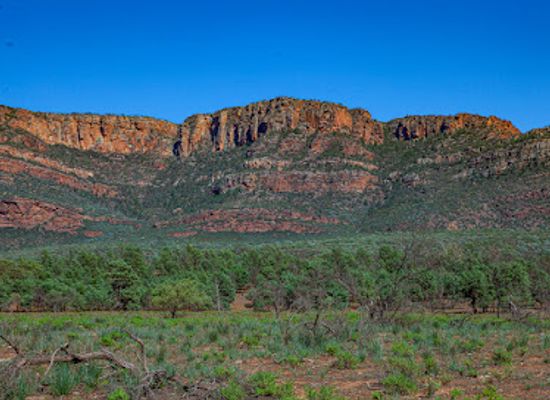australia/flinders-ranges/landmark/wilpena-pound-lookout