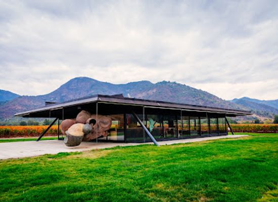 chile/colchagua-valley/landmark/vina-vik