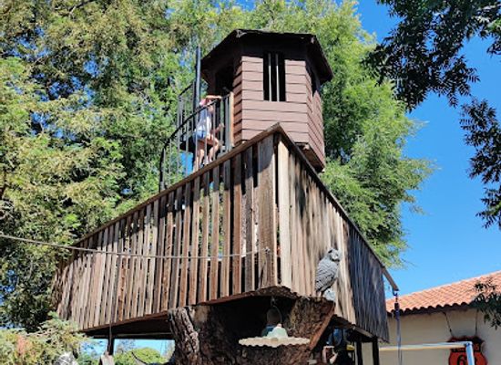 california/campbell/landmark/tortoise-ranch